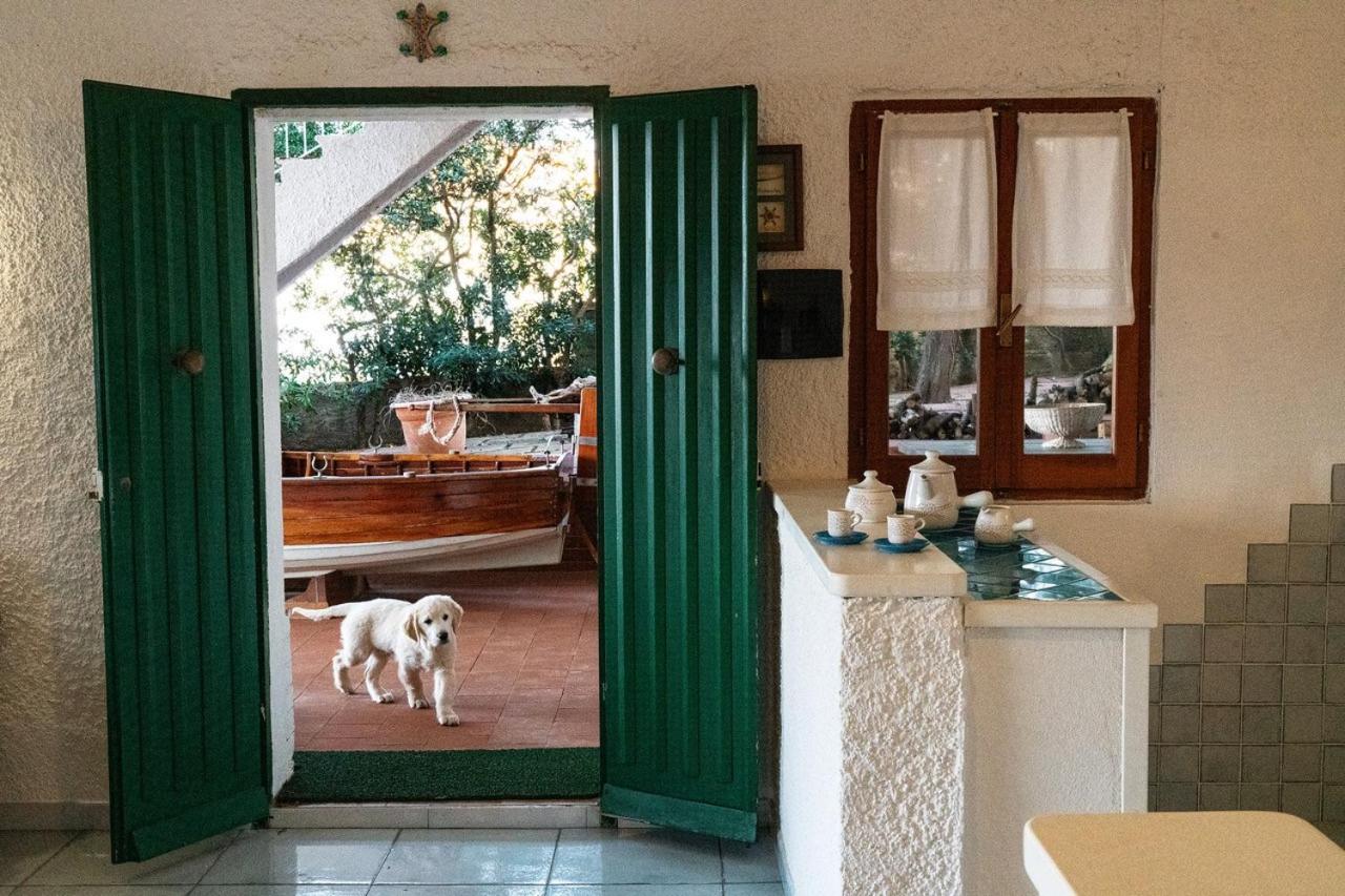 Villa Angela Santa Teresa Gallura Exterior foto